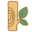 树洞网